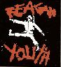 Reagan Youth - Sticker
