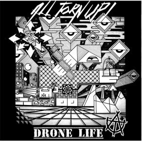 All Torn Up - Drone Life - (cd)
