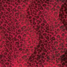 Leopard  Red