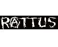Rattus - Sticker