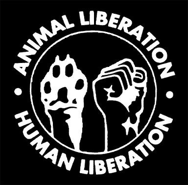 Animal Liberation / Human Liberation - Hooded Sweatshirt
