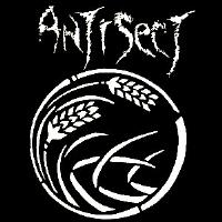 Antisect - Wheat Logo - Shirt