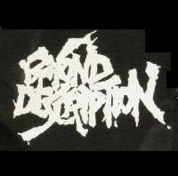 BEYOND DESCRIPTION - Patch