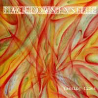 Face Down In Shit - Passing Times (cd)