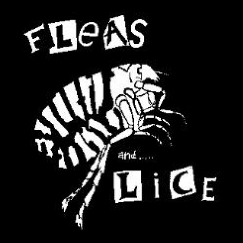 Fleas And Lice - Flea - Sticker
