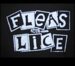 FLEAS AND LICE - Name - Patch