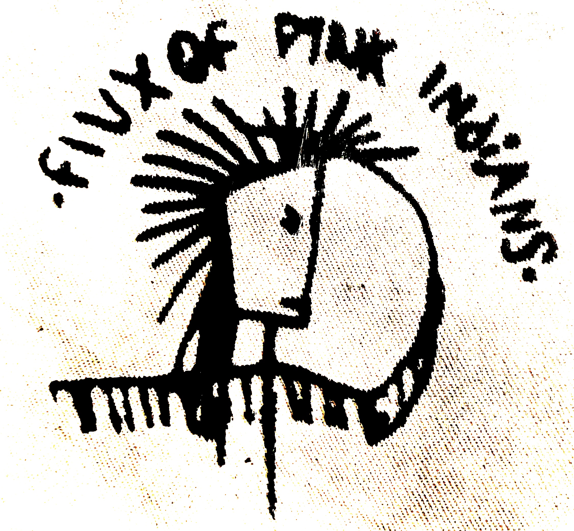 FLUX OF PINK INDIANS - Mohawk - Patch