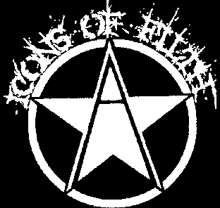 Icons Of Filth - Anarchy - Shirt