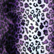 Leopard  Purple & White