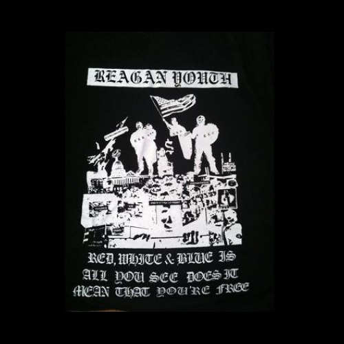 Buy Reagan Youth Hooded Sweatshirt | Punk Hoodies | Crustpunks.com