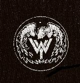 WASTED YOUTH - Logo - Patch (Screen Print)